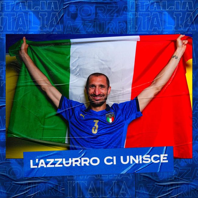 案例证明 案例证明