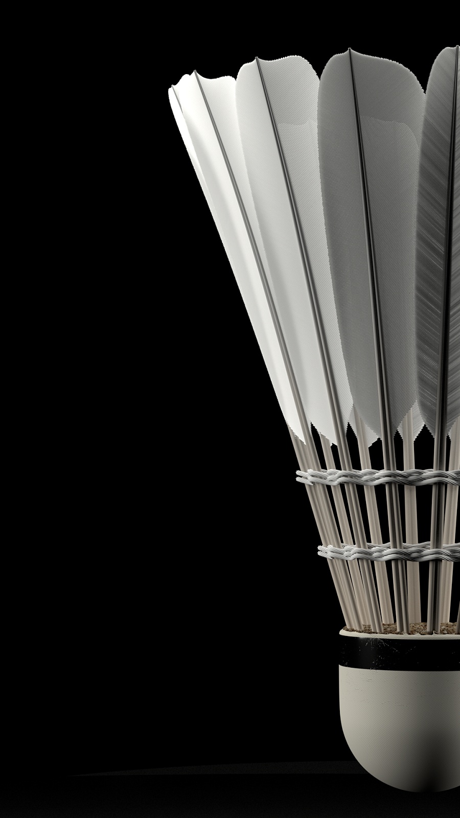 沙特队在体 沙特队在体